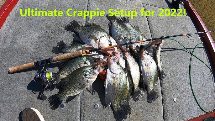 Catch More Fish: Choosing the Best Crappie Fishing Pole