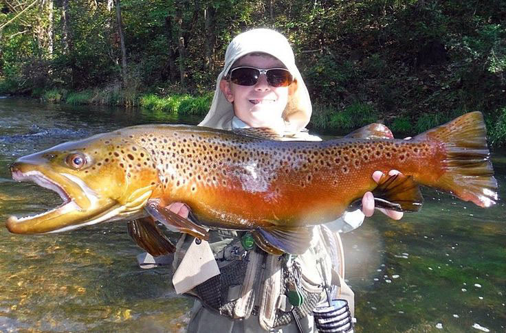 Trout Fishing in Arkansas: Find the Perfect Time