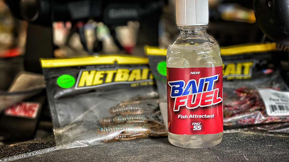 Best Fish Attractant: Which One Works and Why?