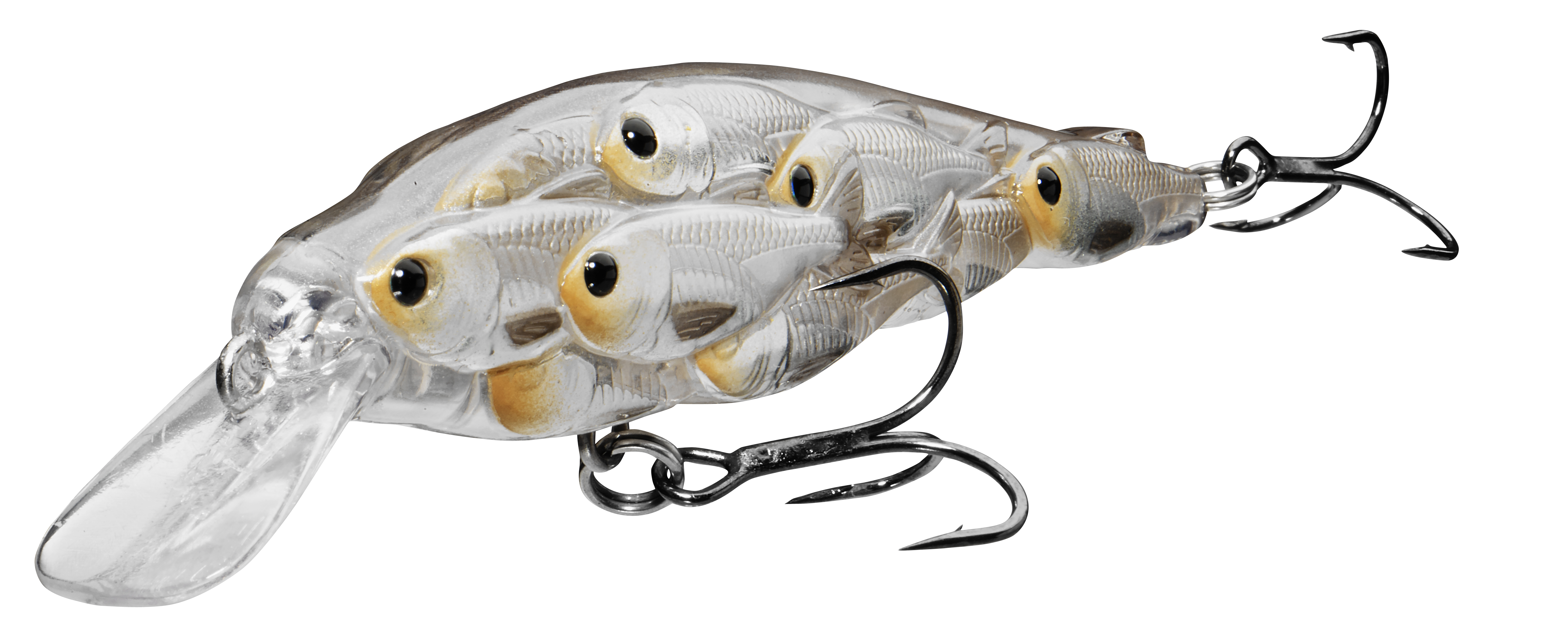 Best Jerk Baits for Bass: Colors and Sizes That Work