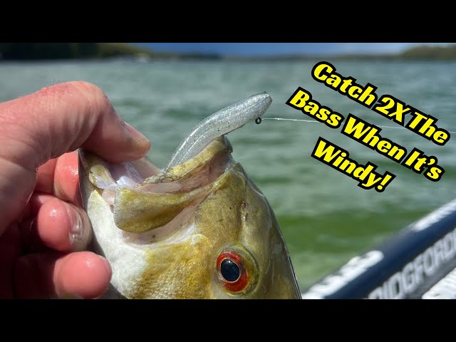 Bass Fishing in the Wind: Where to Find Them and How to Hook Them