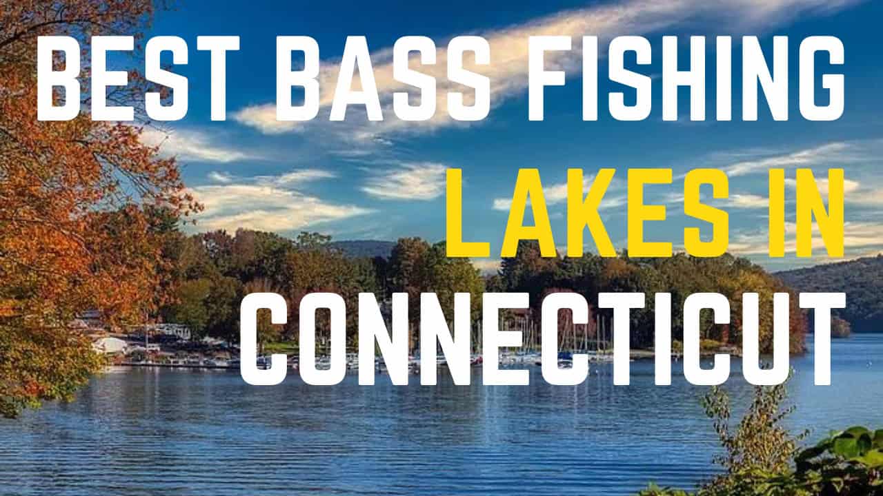 Find Your Favorite CT Fishing Lakes and Ponds Today