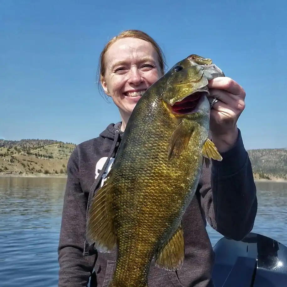 Prineville Reservoir Fishing Report: Expert Angler Insights