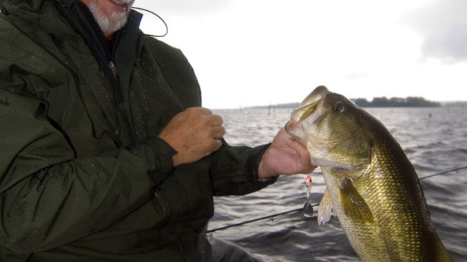 Your Guide to Lake Gaston Fish Species and Fishing Spots