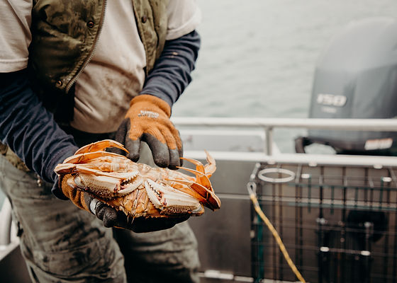 Affordable Crabbing Charters Washington: Family Fun on the Water