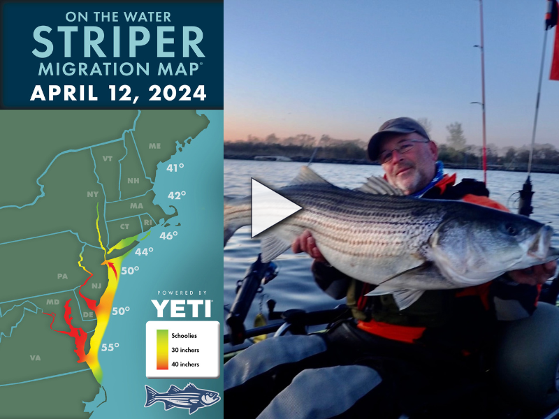 Latest Hudson River Striper Report: Where to Catch Them Now