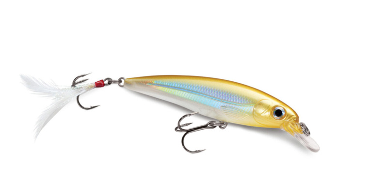 Top Baits for Rockfish: Proven Choices to Catch More Fish