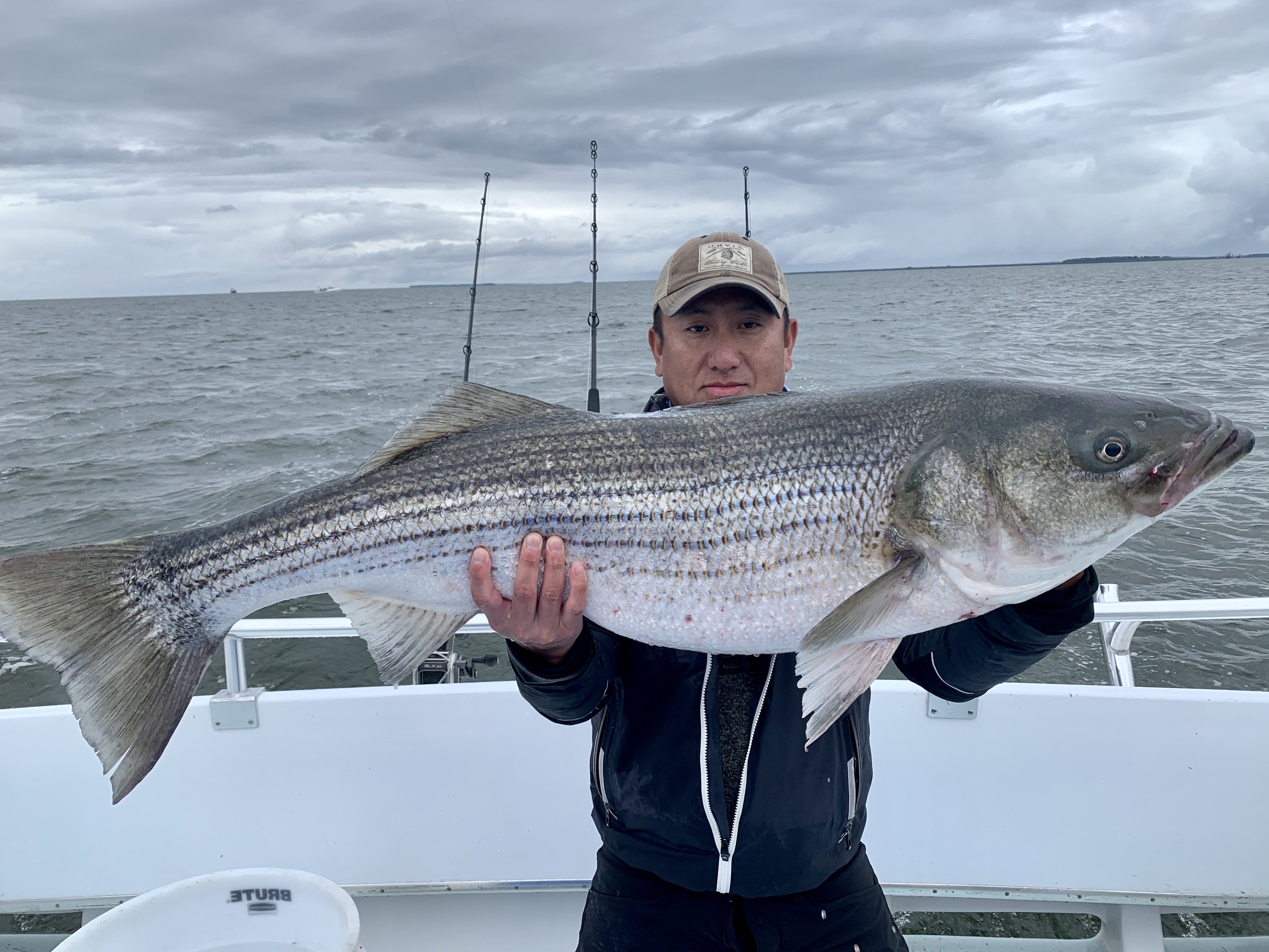 Fishing Report Solomons Island: See Whos Catching What