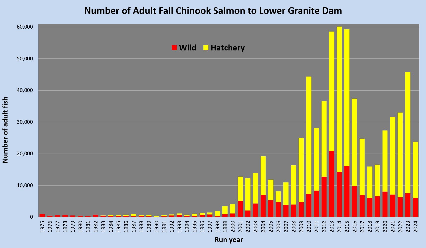 Bonneville Dam Salmon Count 2024: Daily Updates and Historical Data