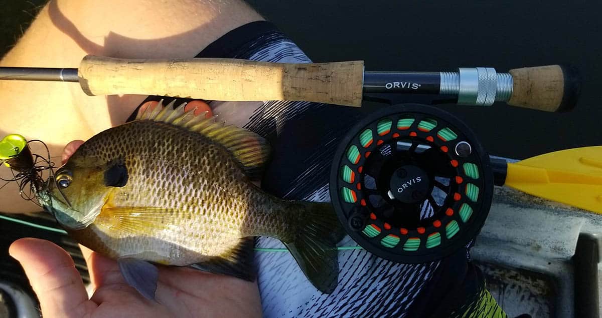 Catch More Bluegill with the Best Fishing Rod: Tips and Tricks