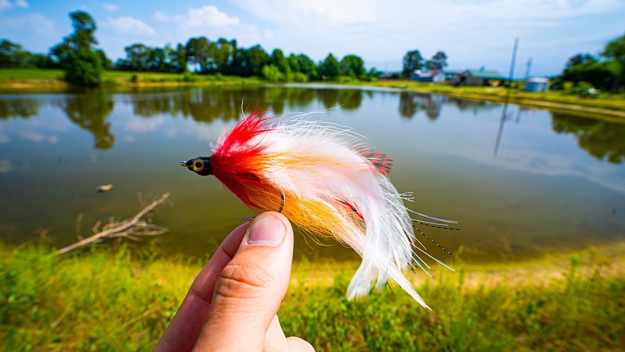 Fly Fishing at Tawa Pond: Target Bass with Streamers and Poppers