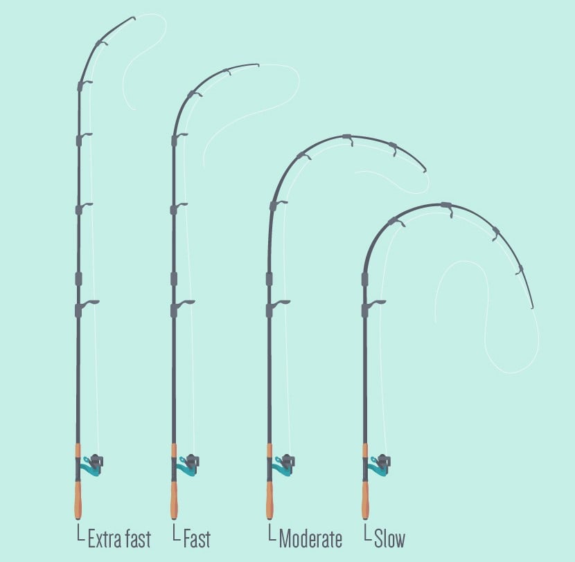 Quick Guide to Fishing Rod Stiffness: Find Your Perfect Match