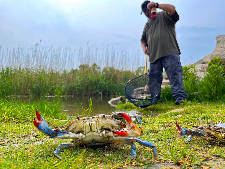 Curious about Crabbing in Louisiana? Heres the Best Time to Go