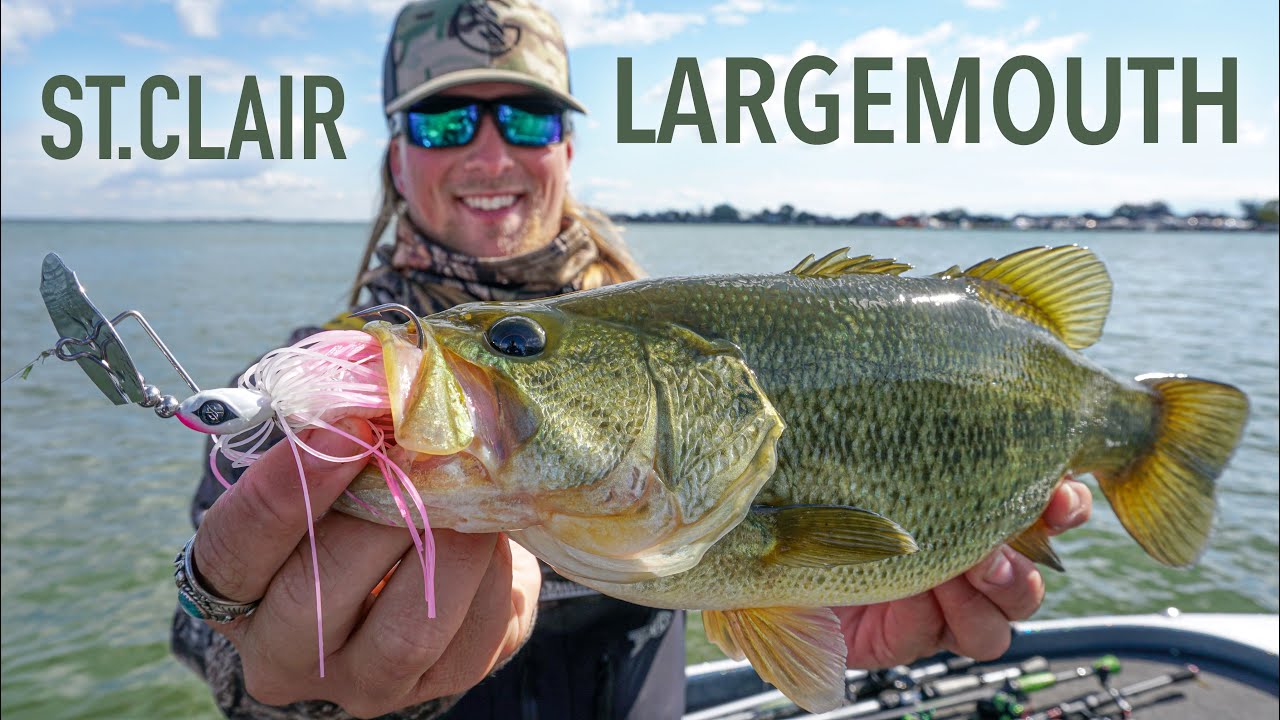 Catch Big Bass on Lake St. Clair: Expert Secrets Revealed