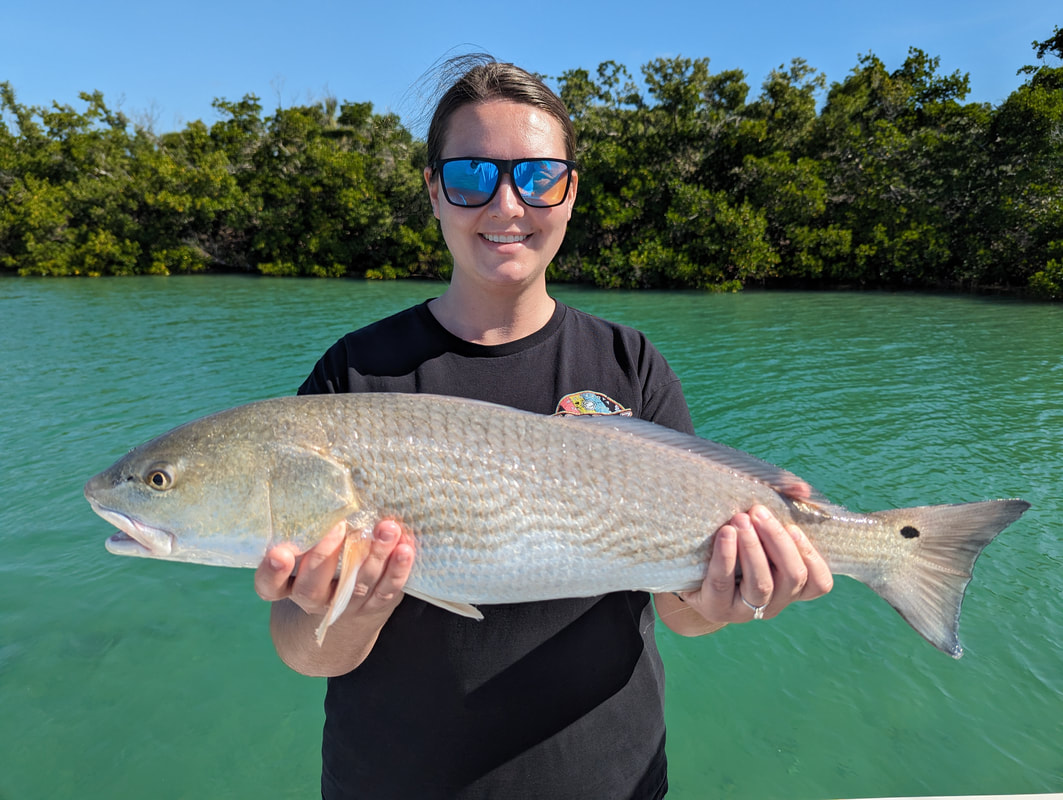 Englewood Fishing Report: Best Spots and Times to Fish