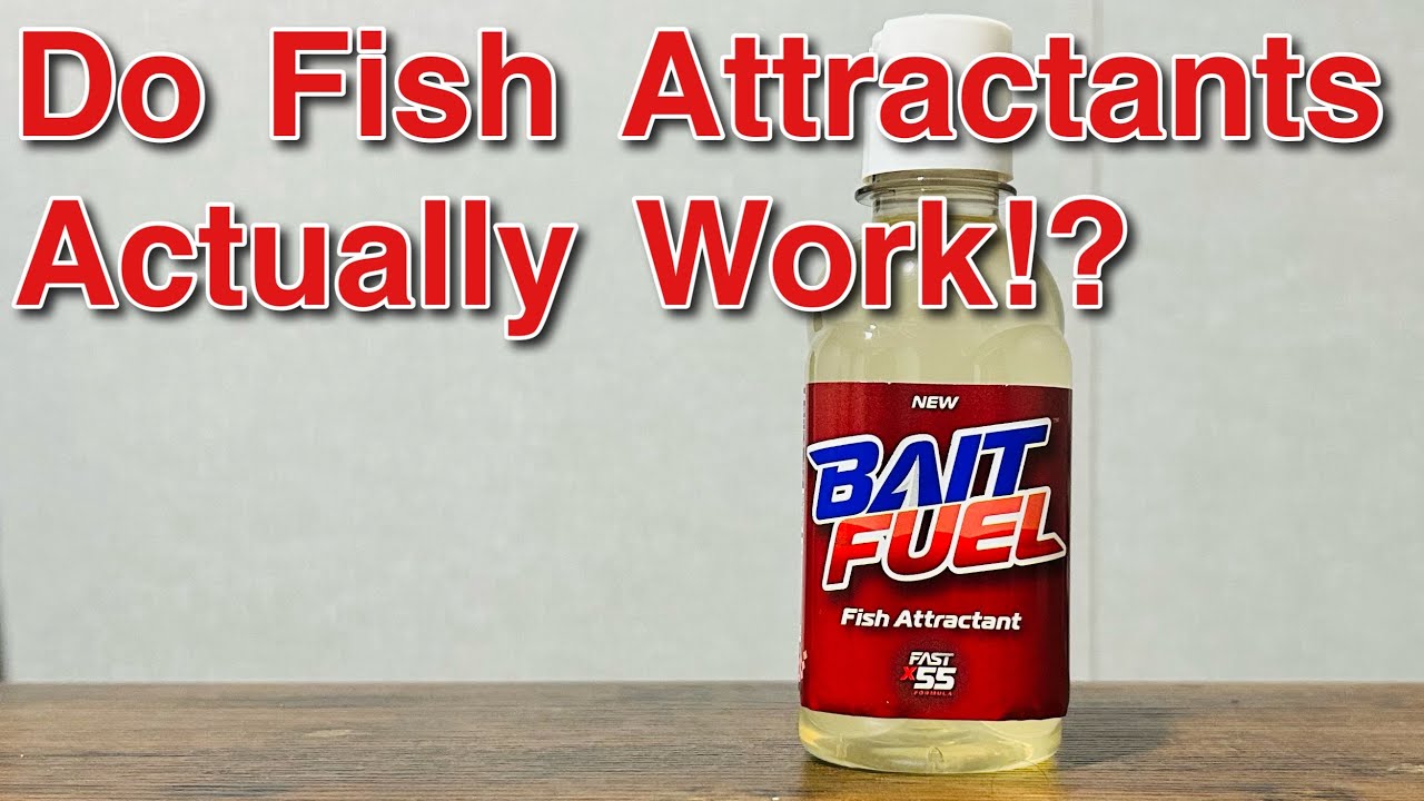 Bait Fuel Fish Attractant: Does It Really Work?