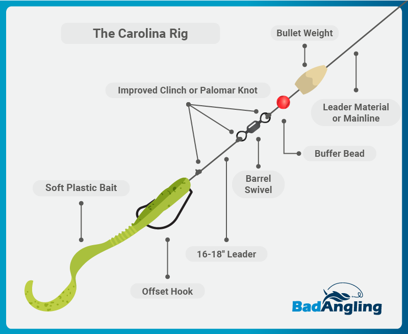 Choosing the Best Fishing Set Up for Bass Like a Pro