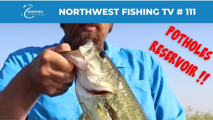 Hooked on Bass? Washington State Tournaments You Cant Miss