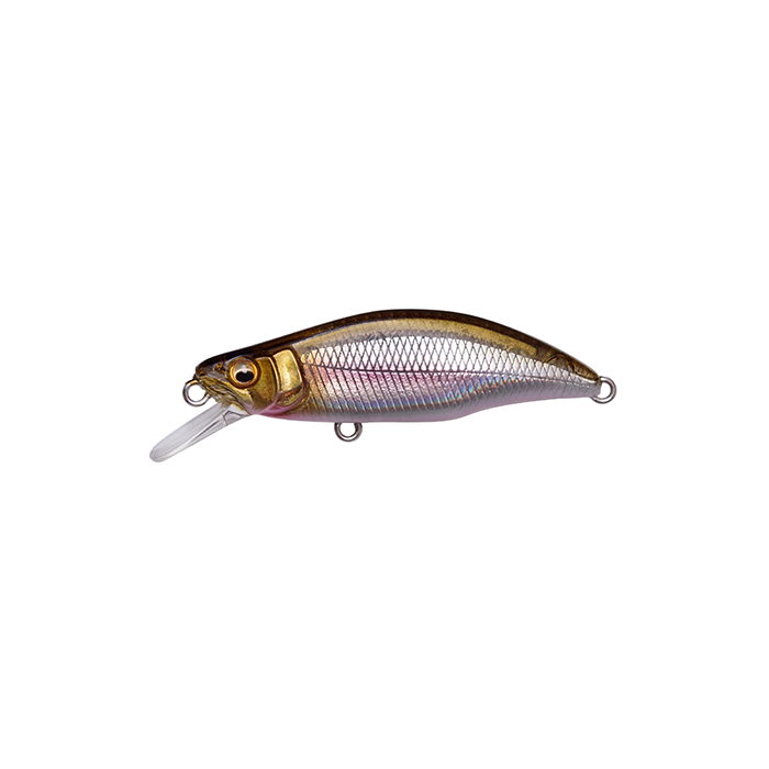 Megabass Trout Lures Review: Are They Worth the Money?