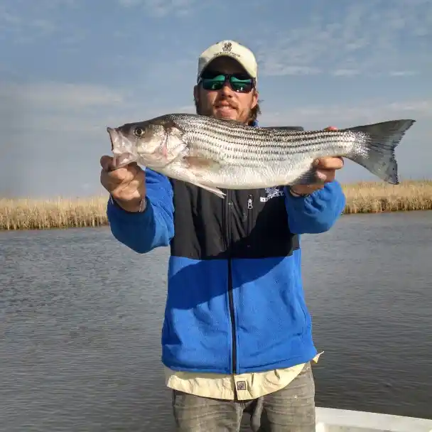 Apalachicola River Fishing Report: Daily Updates Here