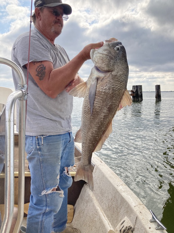 Check the Latest Port Lavaca Fishing Report Before You Go