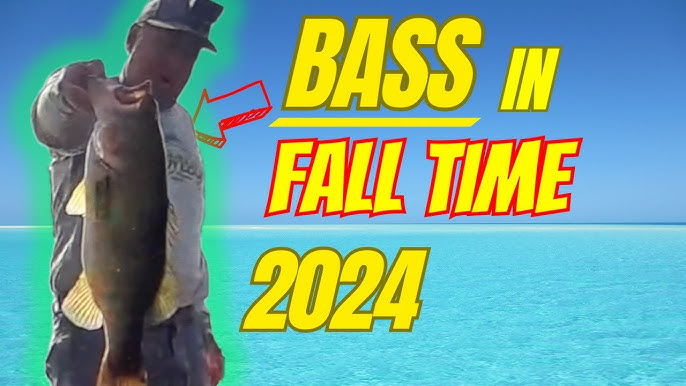 Discover the Best Fall Patterns for Bass Fishing Today