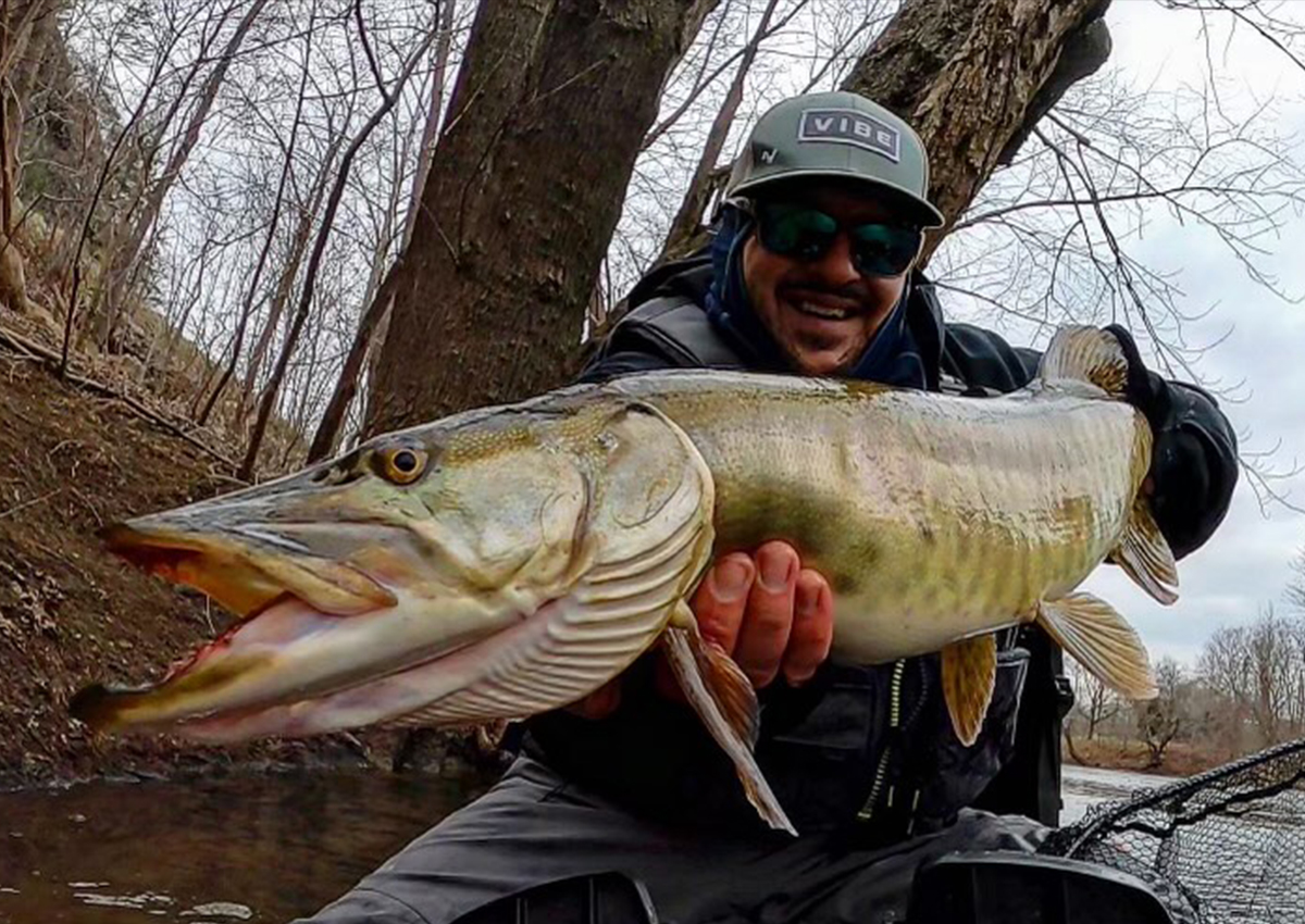 Good Musky Reels Review: A Guide to Musky Fishing Gear