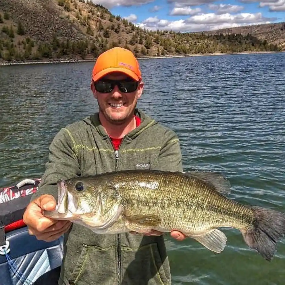 Fishing Prineville Reservoir: Latest Reports and Catch of the Day