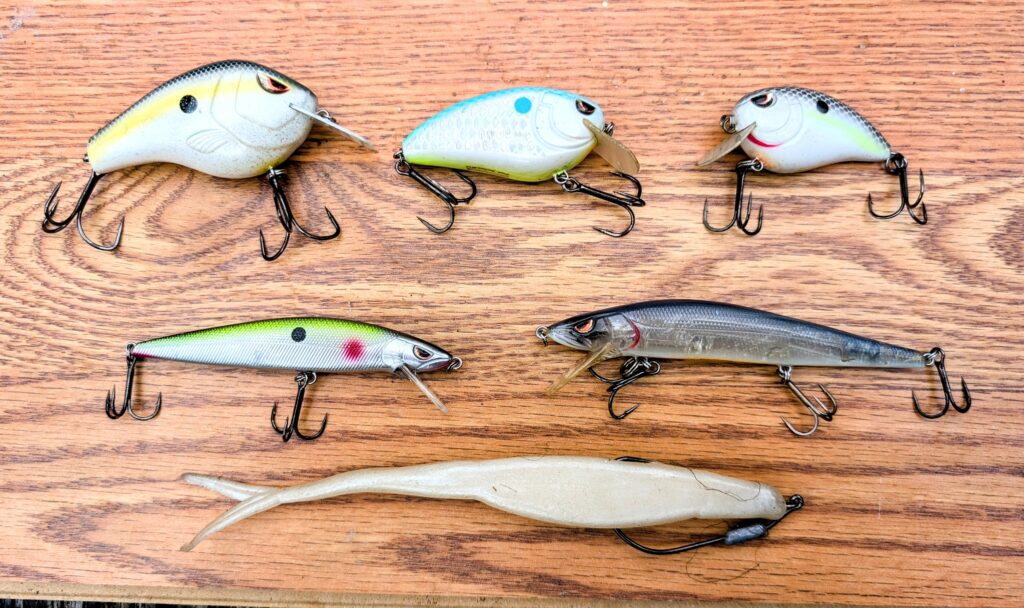 Fall Bass Baits: Must-Have Lures for Autumn Bass Fishing