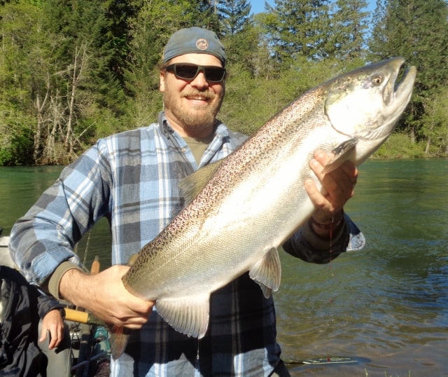 Steelhead Rogue River Run: When and Where to Find Them