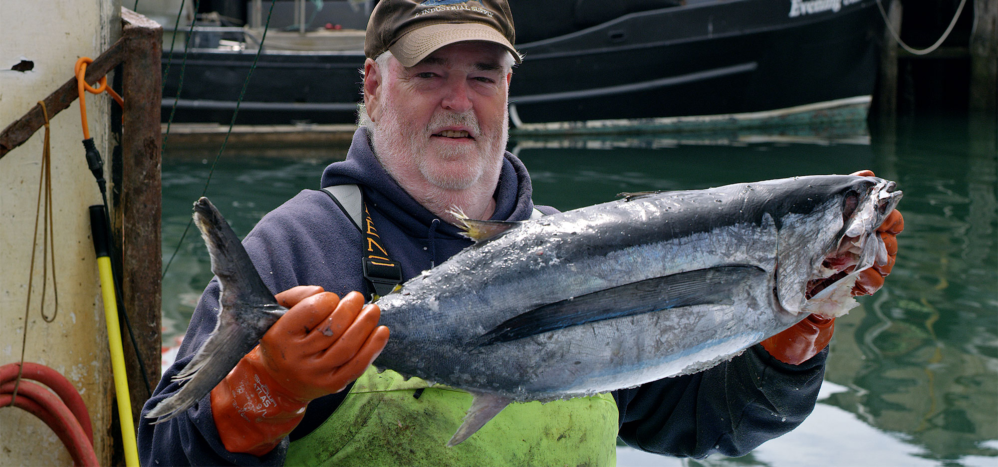 Where to Find Albacore Tuna in Oregon? Local Spots Revealed!