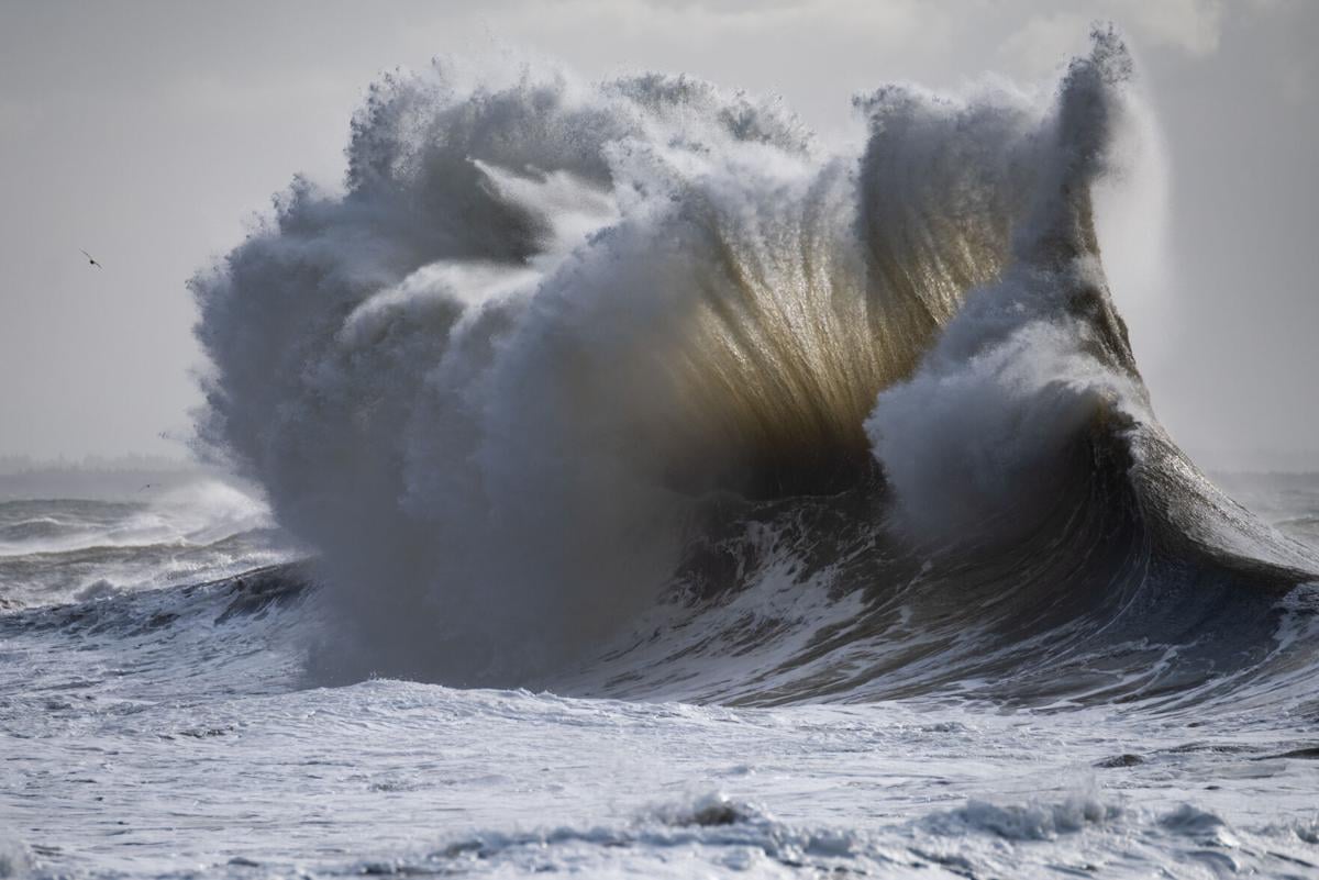 Ilwaco Ocean Conditions: Your Guide to Wind, Waves, and Tide