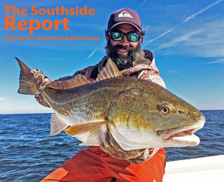 Fresh Edisto Fishing Report: Whats Biting This Week