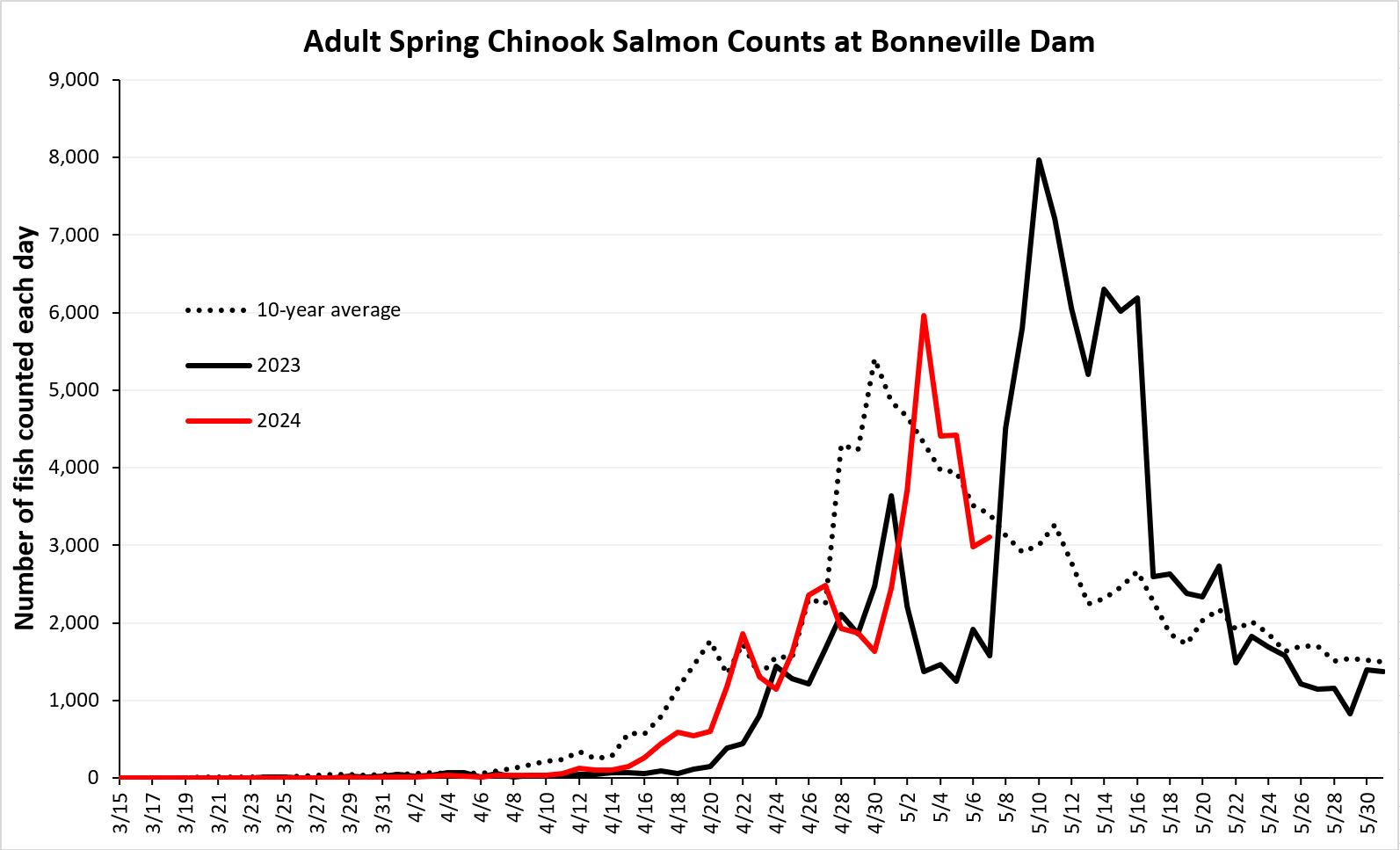 Bonneville Dam Salmon Count 2024: Daily Updates and Historical Data