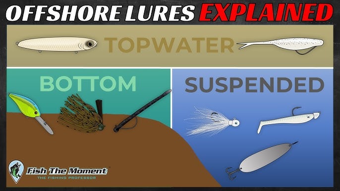 Unlocking the Secrets: Best Bass Lures for Shore Fishing Tactics