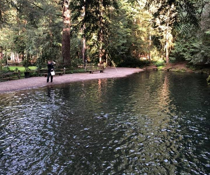 Discover the Rainbow Trout Farm: East Sylvan Drive, Sandy