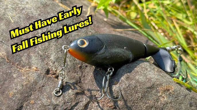 Looking for the Best Fall Fishing Baits? Try These First