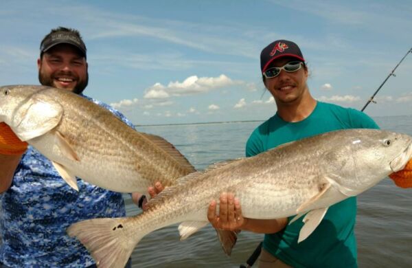 Need a Jekyll Island Fishing Report? Find Your Best Catch Here