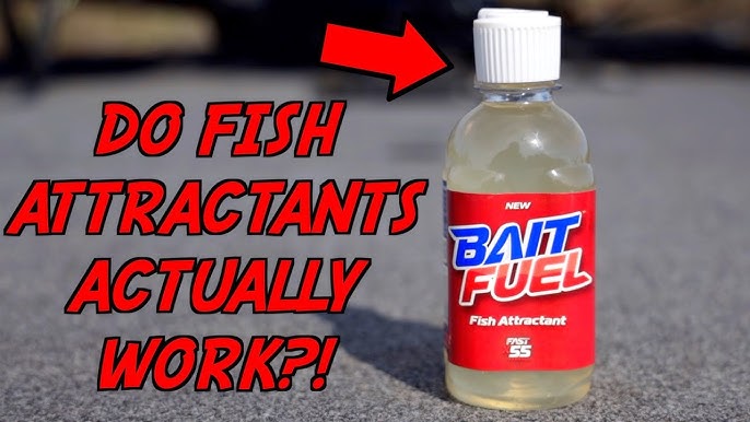 Bait Fuel Fish Attractant: Does It Really Work?