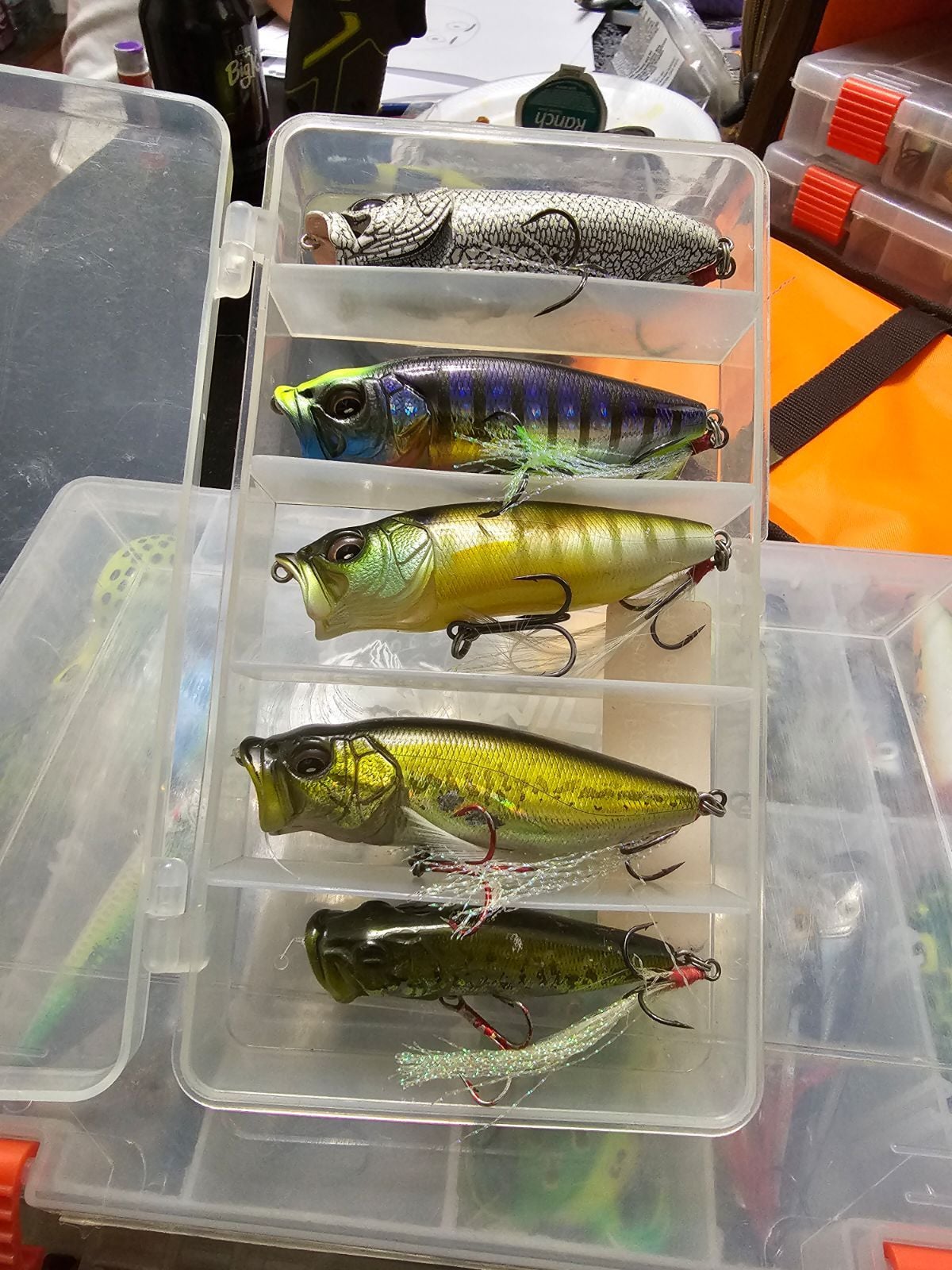 Megabass Trout Lures Review: Are They Worth the Money?