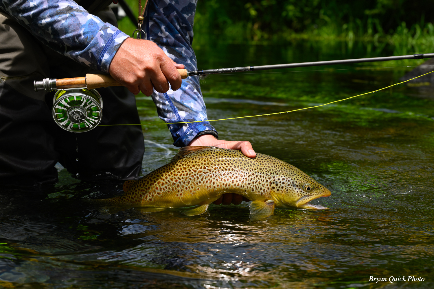 Creel Trout: Essential Gear for Every Trout Angler