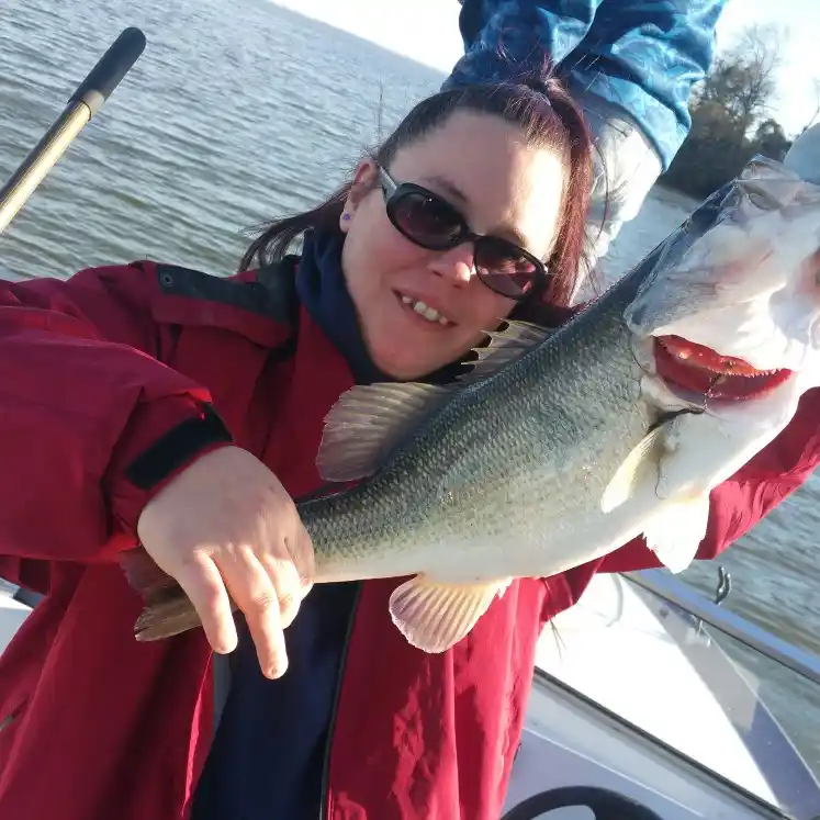 Expert Lake Moultrie SC Fishing Report: Where to Catch Big Fish