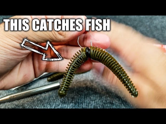 Wacky Worm Weights: What Are They and How to Use Them?