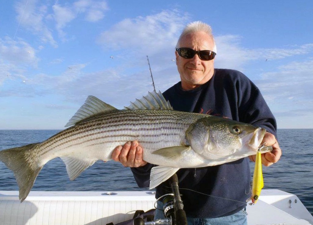 Latest Hudson River Striper Report: Where to Catch Them Now