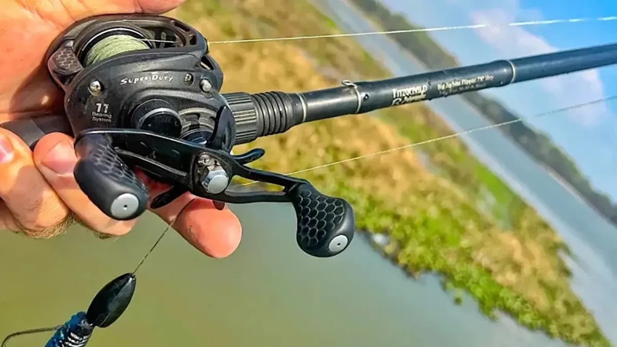 Best Citica Fishing Reel Setup for Bass Fishing