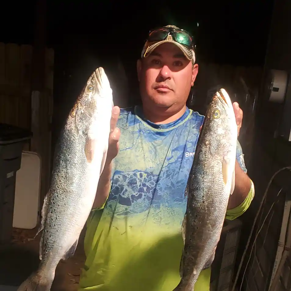 Check the Latest Port Lavaca Fishing Report Before You Go