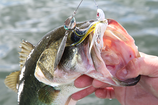 Do Fish Bite When Its Windy? Simple Tips for Windy Day Fishing