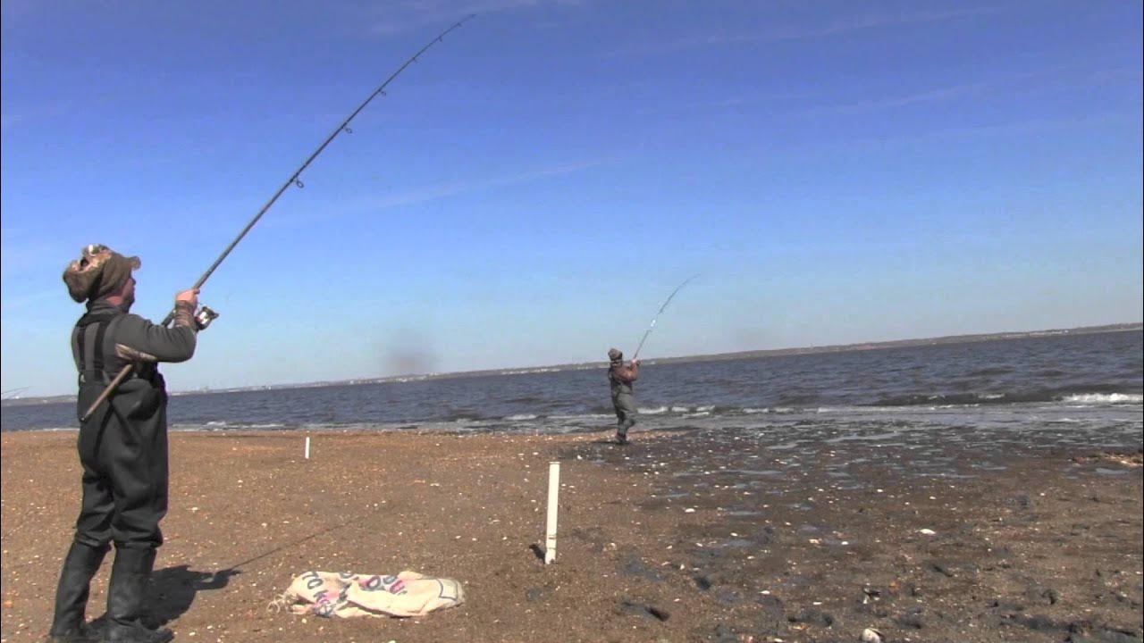 Unlocking Sandy Hook: Your Essential Surf Fishing Report