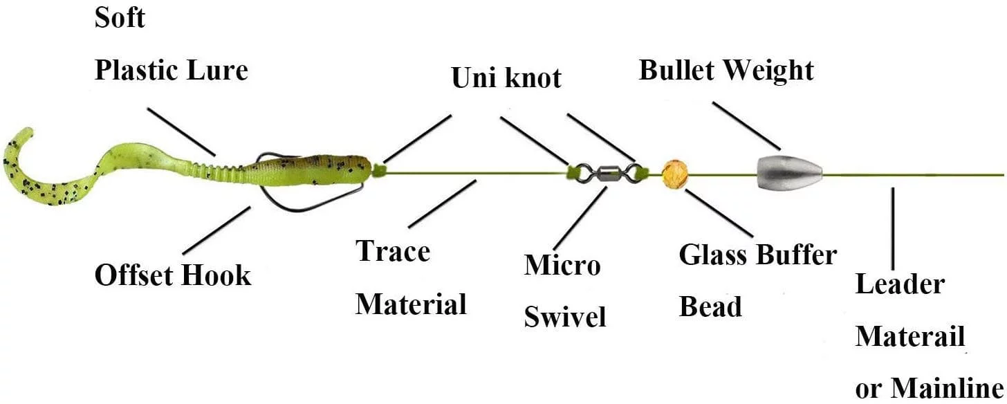 Worm Rigging: Step-by-Step Guide to Texas and Carolina Rigs