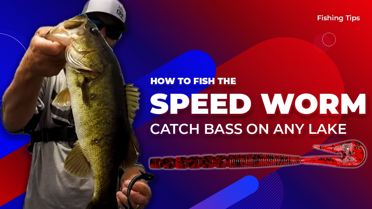 Easy Bass Fishing with a Worm: Simple Tips and Tricks